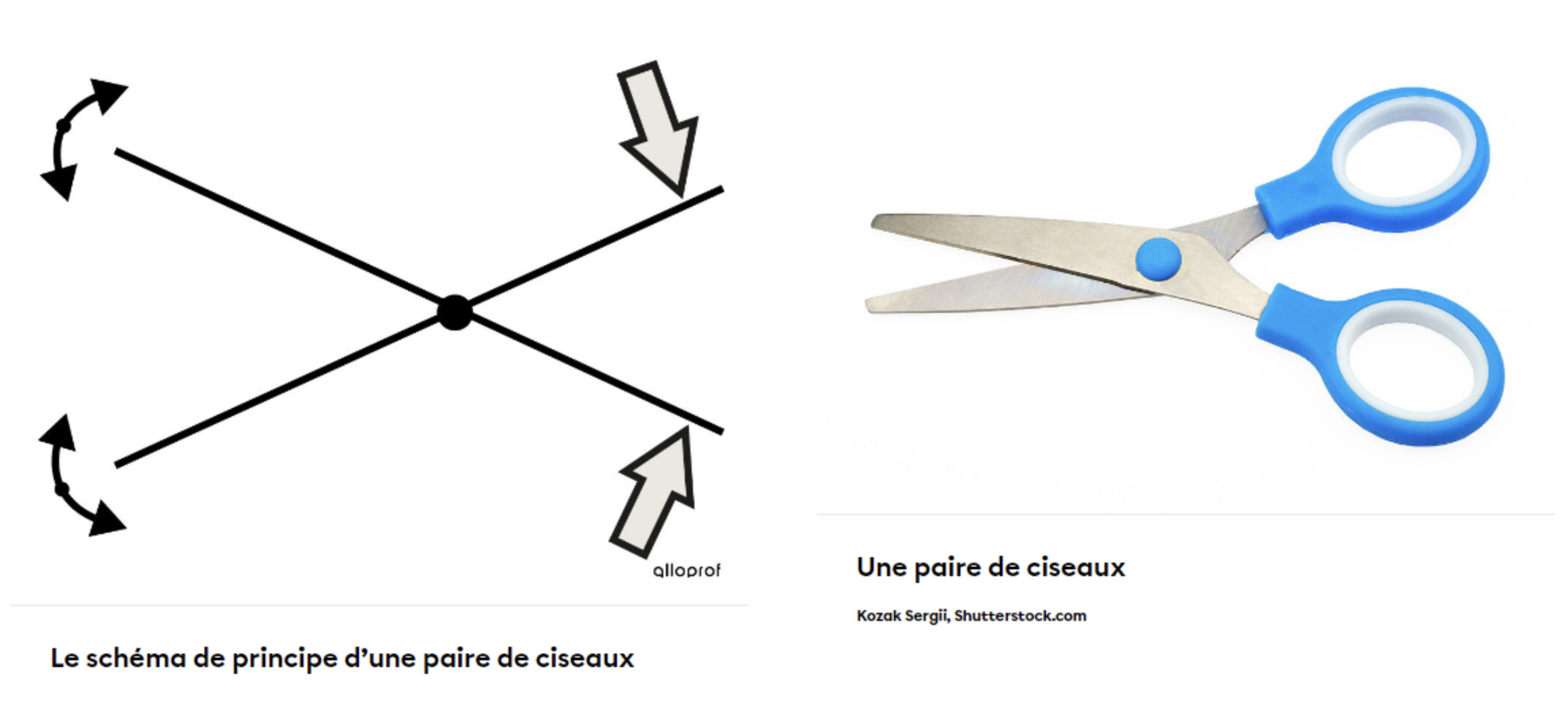 Capture d’écran, le 2026-02-05 à 19.11.56.png
