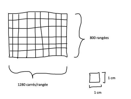 A8C45A03-FED0-4A5C-B2B1-B92DABD438E2.jpeg