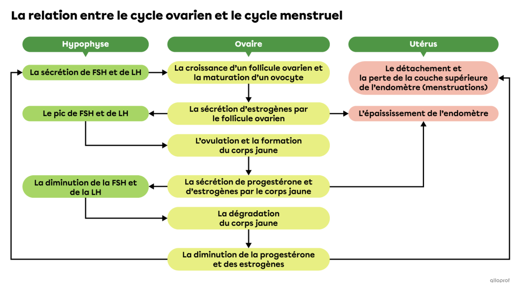 Capture d’écran, le 2025-05-27 à 09.05.58.png