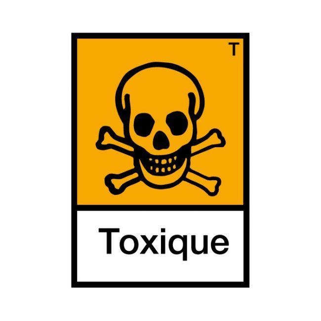 toxique-ig-3132.jpg