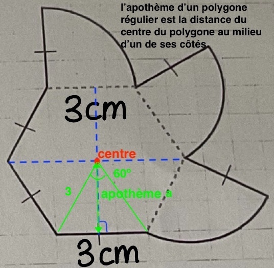 ParulineOptimiste.jpeg