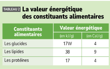 Capture d’écran 2026-06-12 222530.png