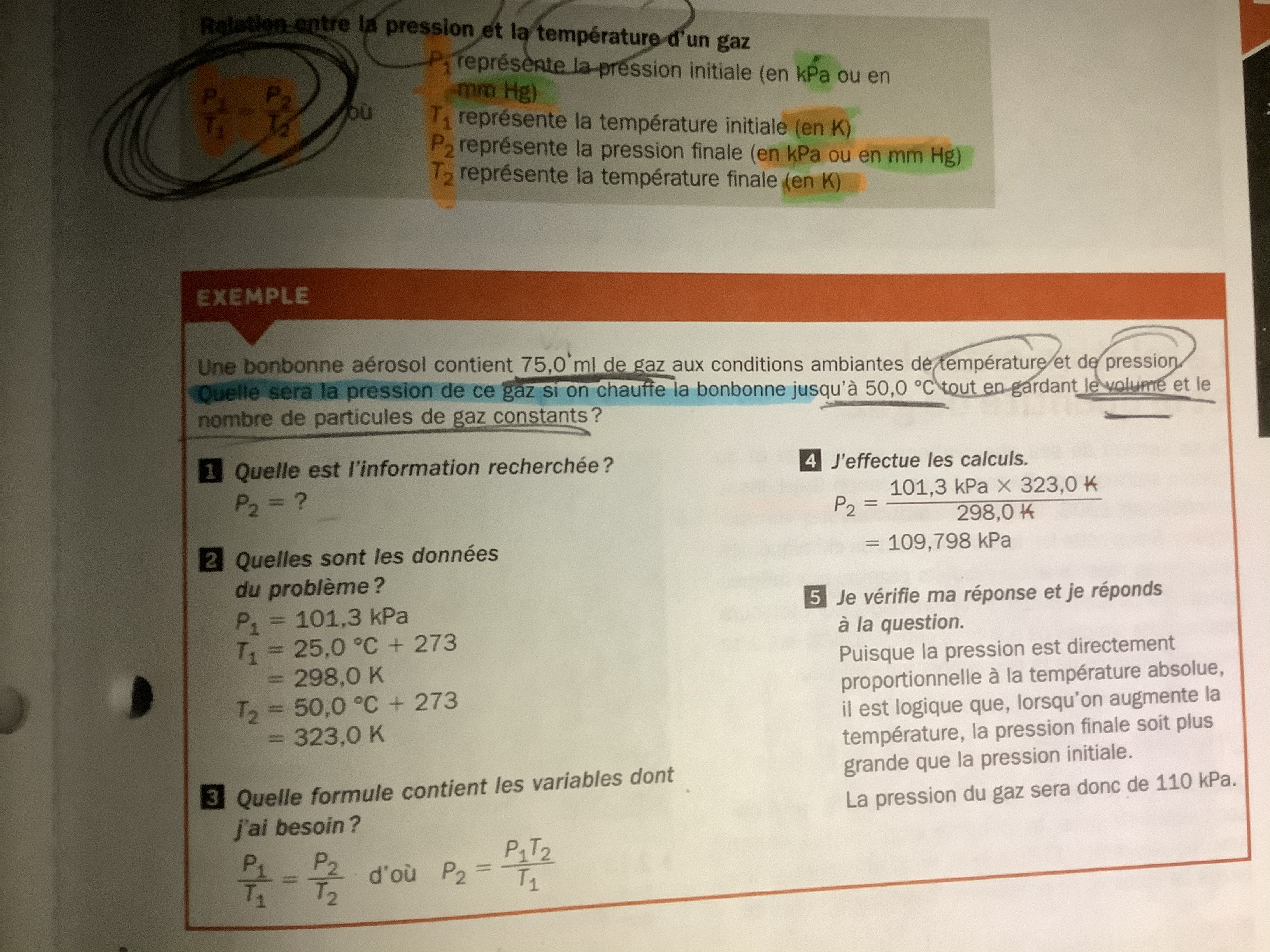 43A59FDB-49C9-41B0-91CB-5F3FD6AD7583.jpeg