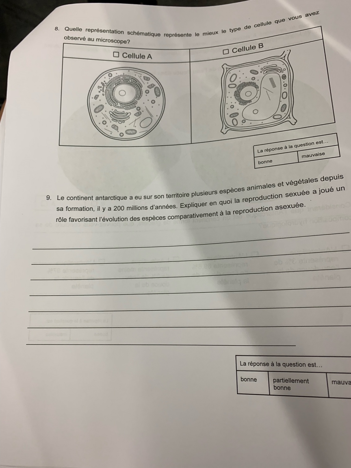 image4 (6).jpeg