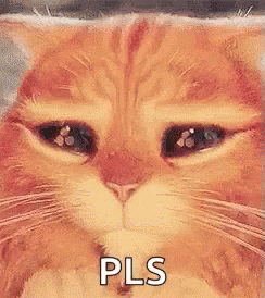PleaseHoneyBeggingGIF.gif