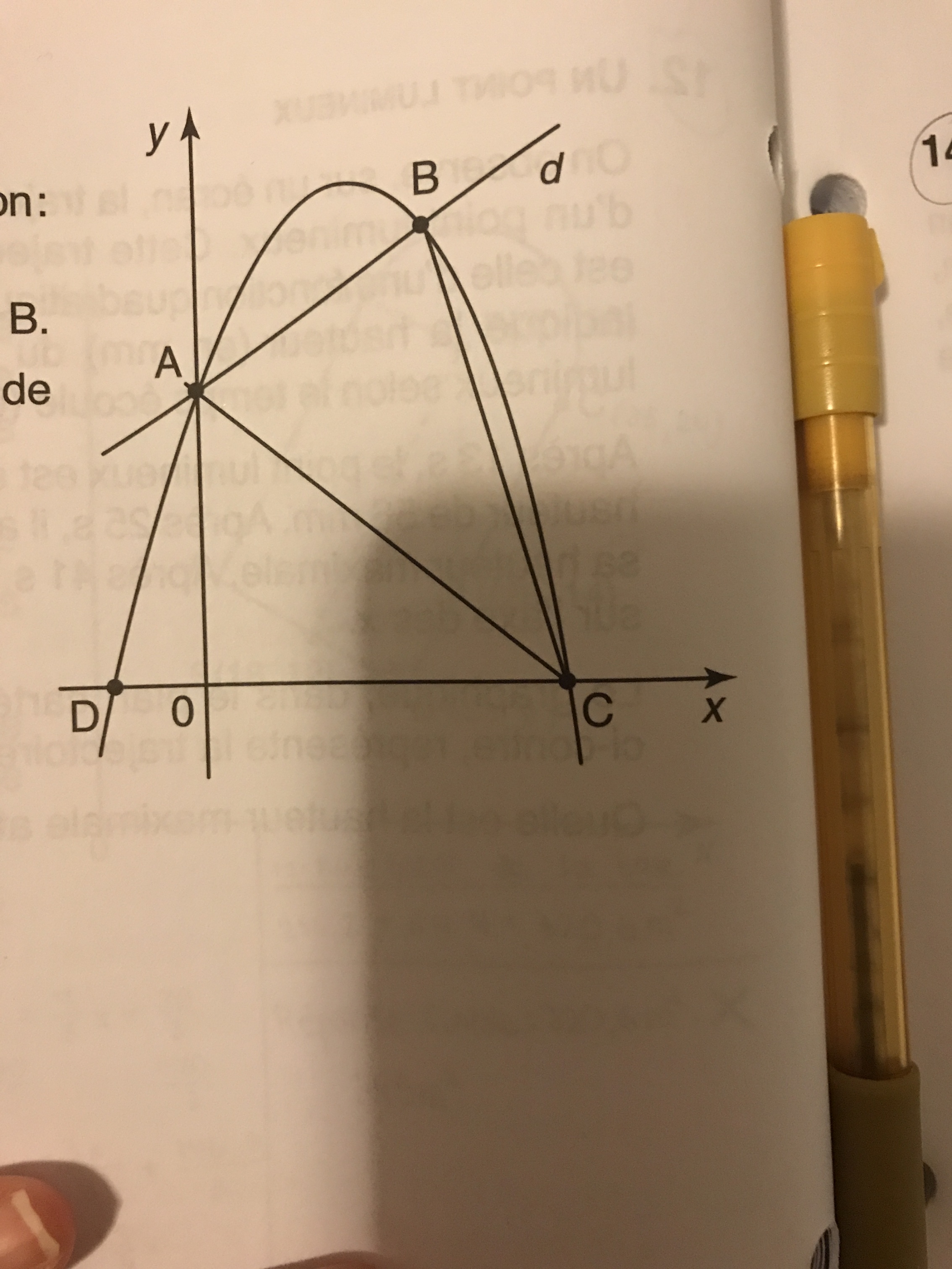 image.jpg