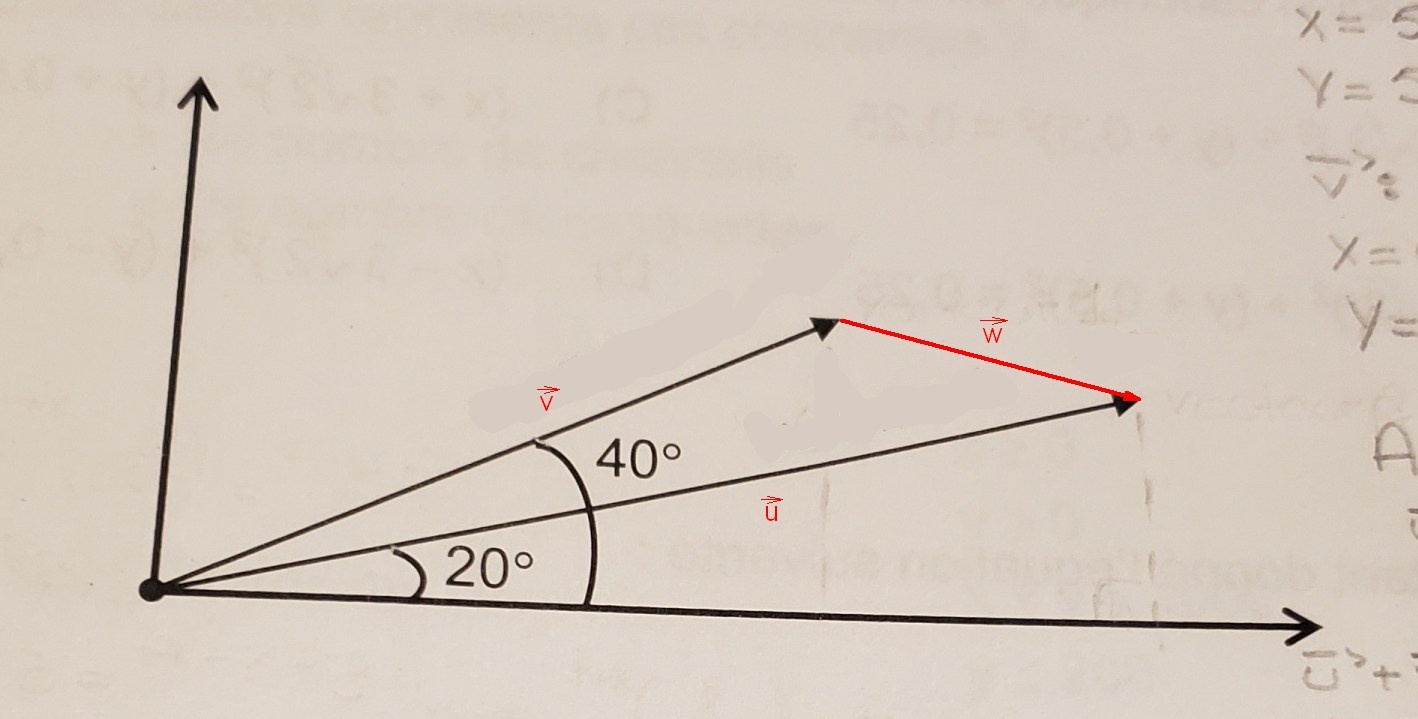 vecteurs.jpg