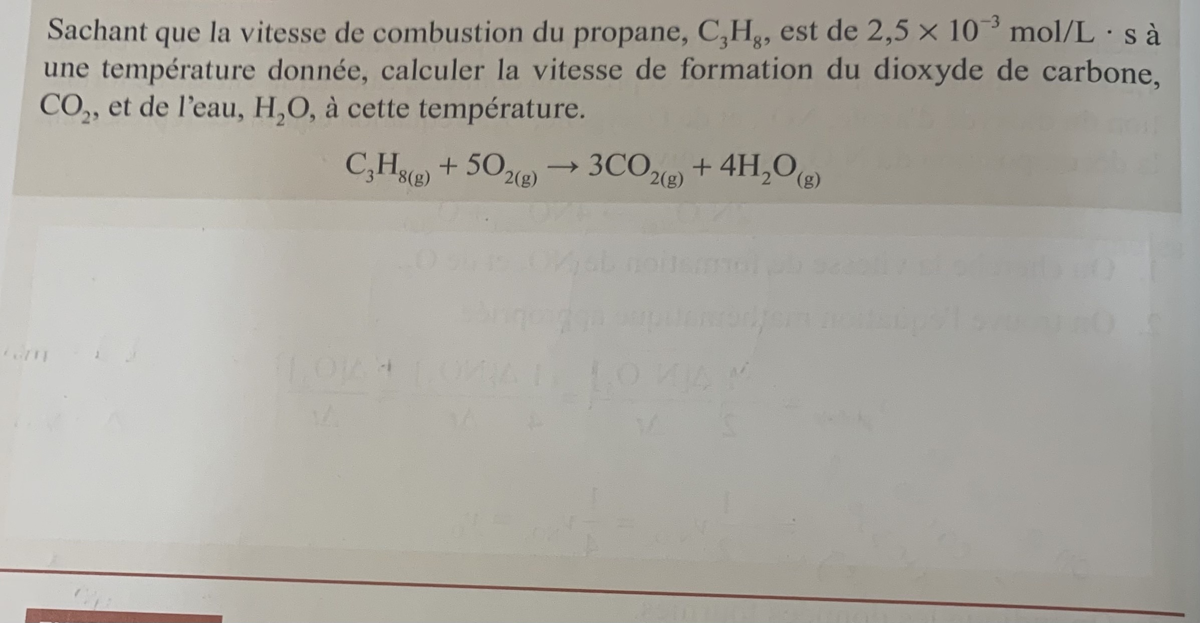 C105A447-8CC0-47B7-A718-4A95CF2F958E.jpeg