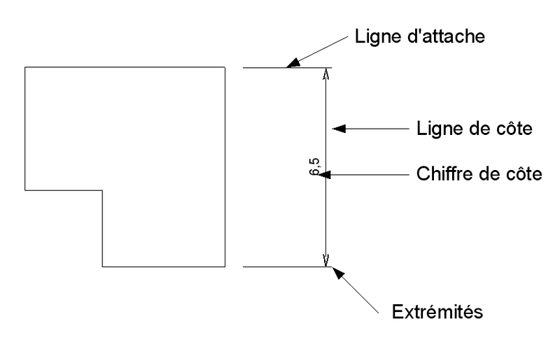 ligne.png