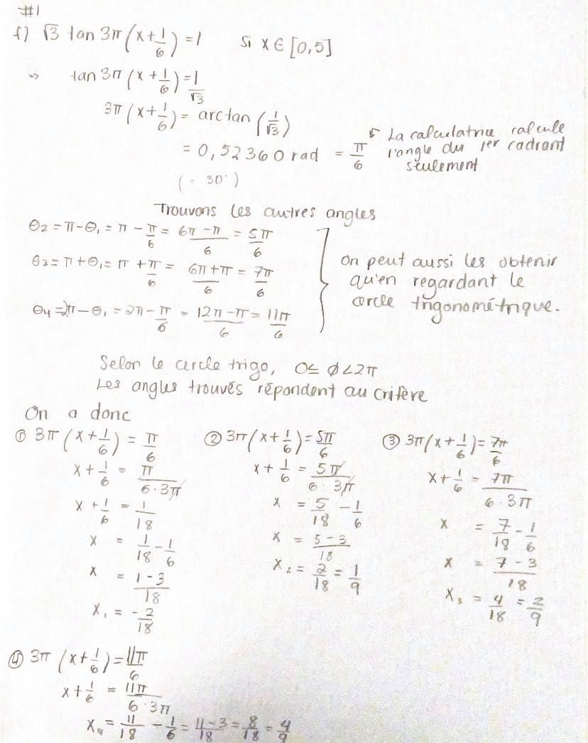 trigo1.jpg