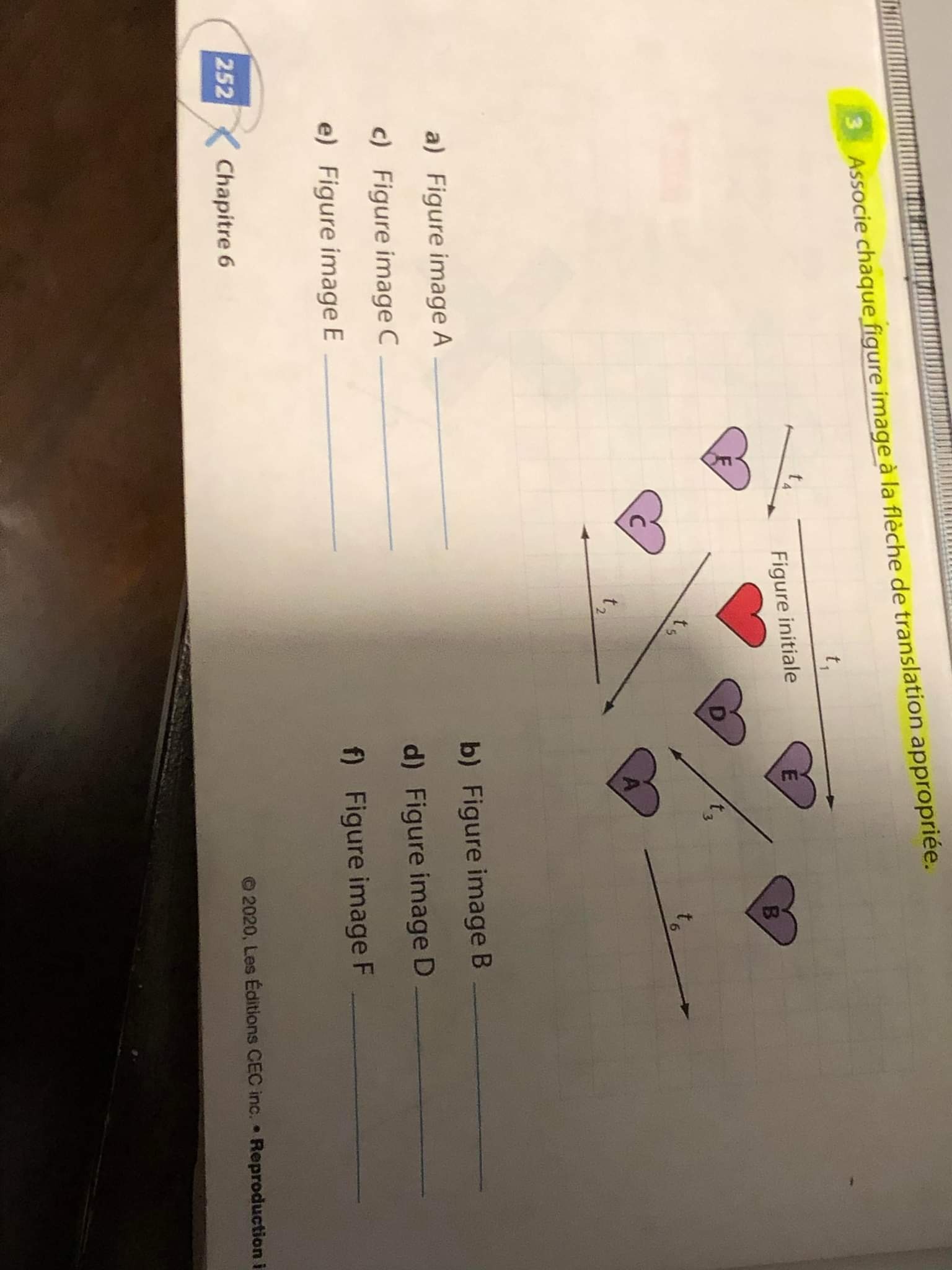 received_5164722853590833.jpeg
