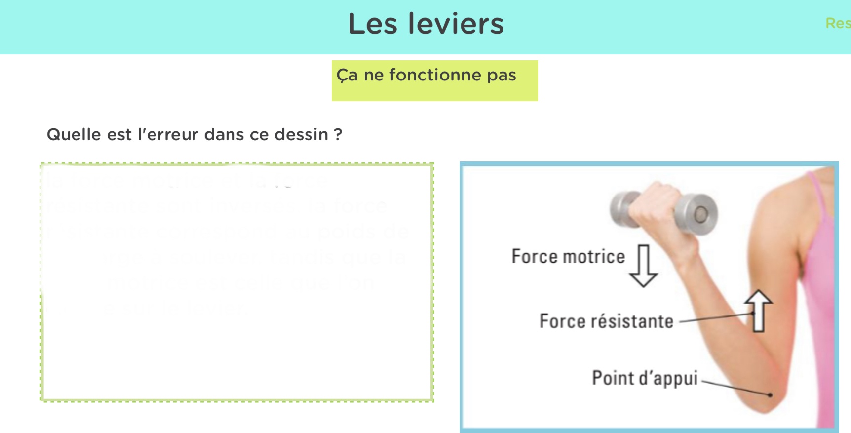 AFFEE757-6E4D-428F-869A-BE3E29451CB5.jpeg