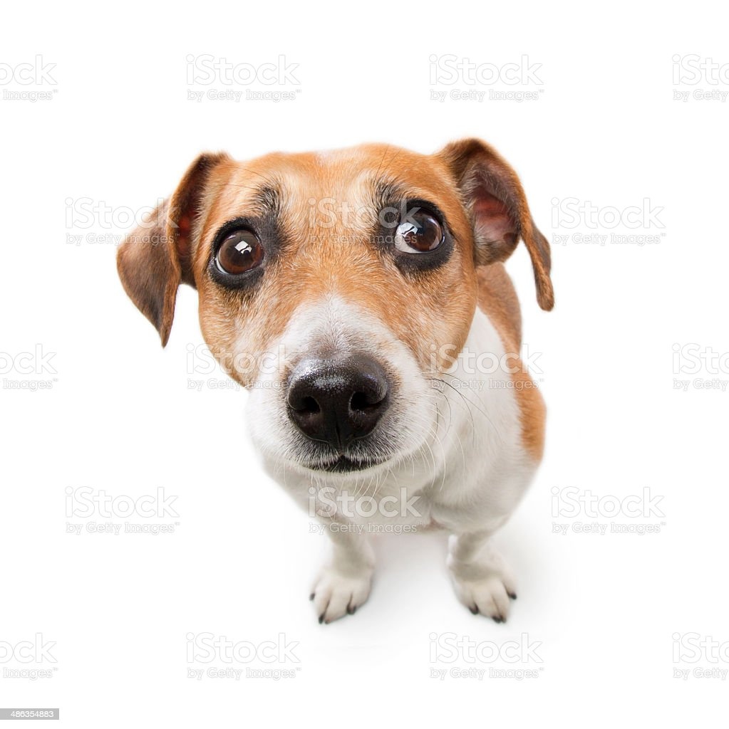 istockphoto-486354883-1024x1024.jpg