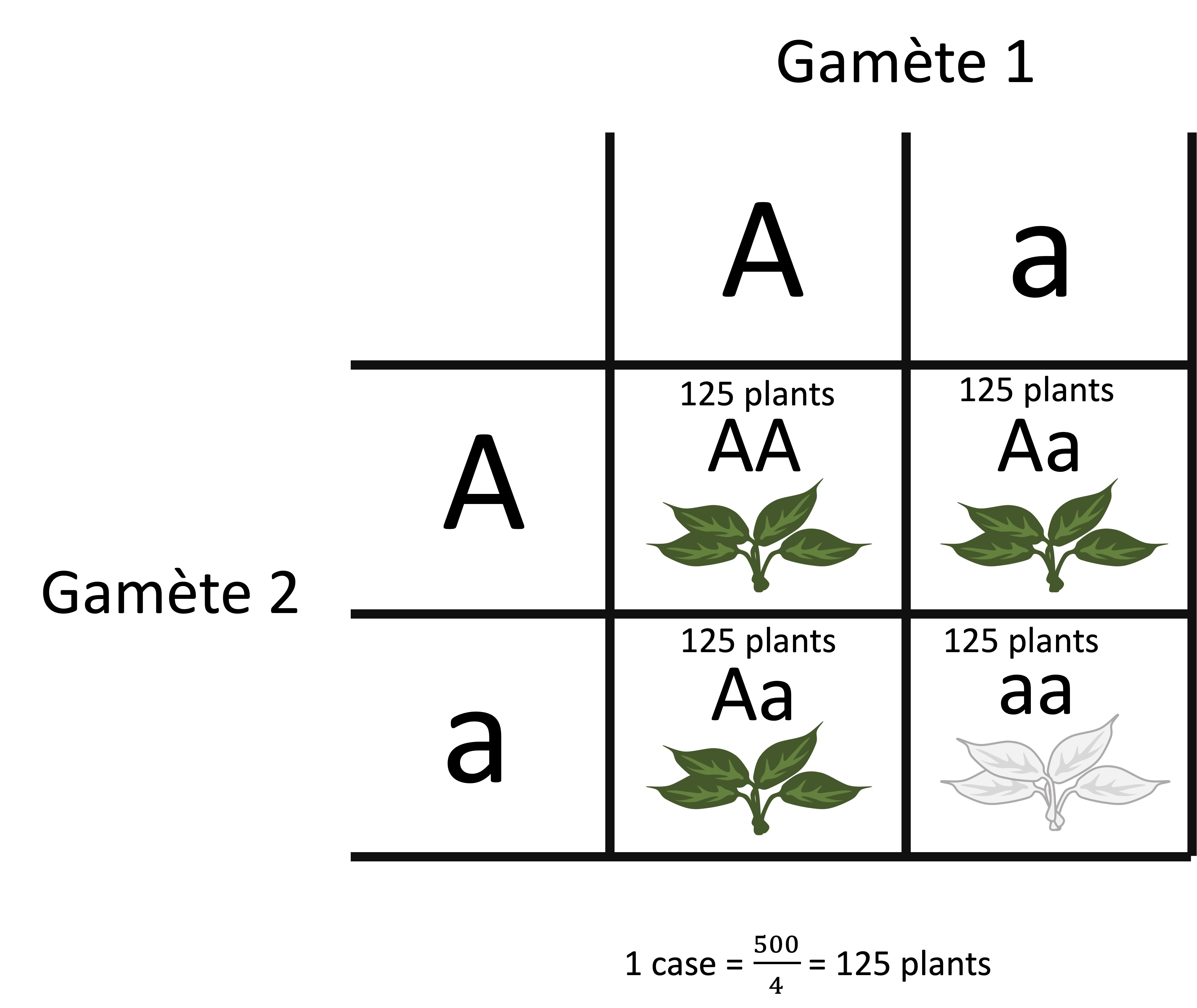 grille plants.jpg