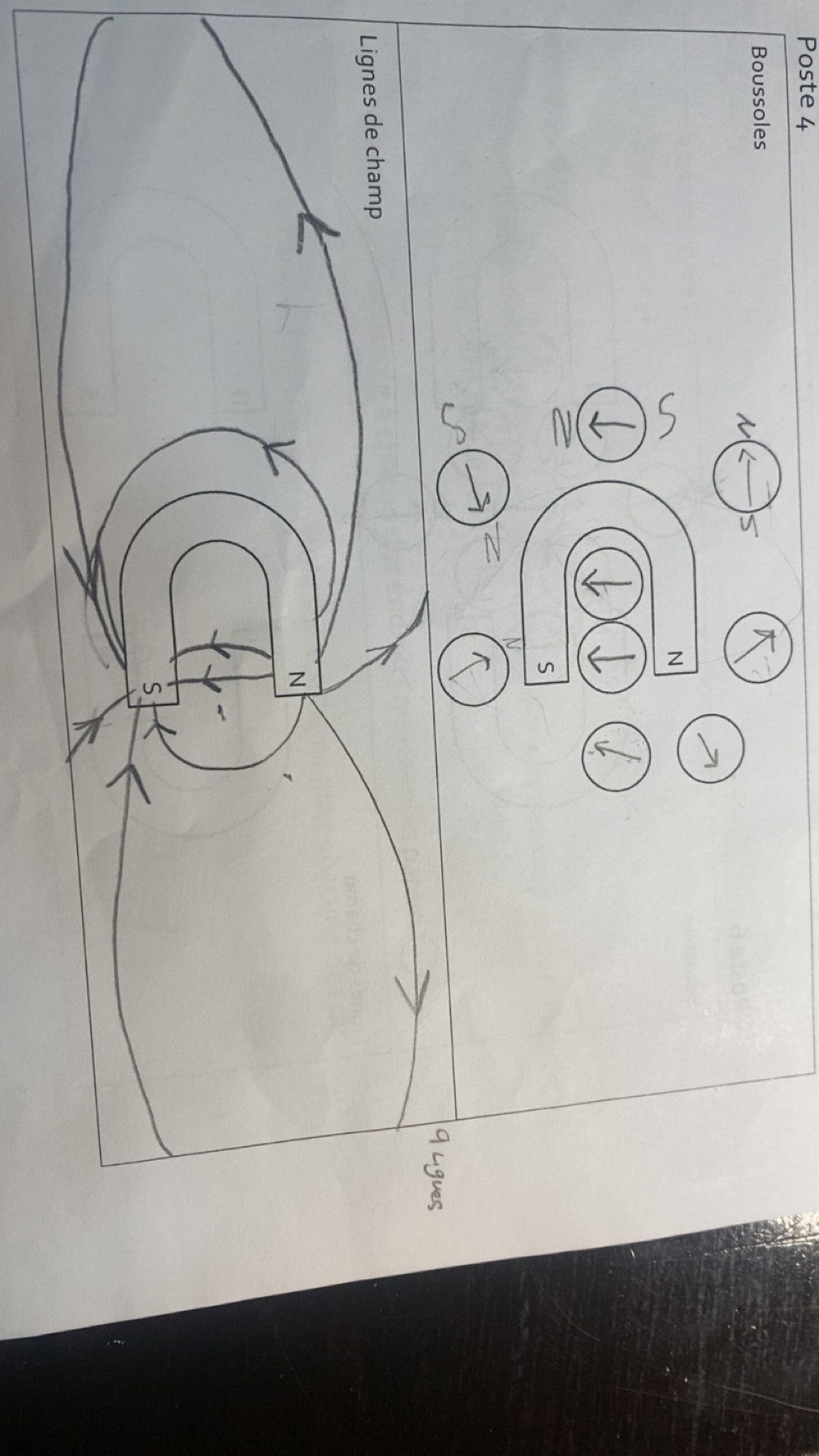 IMG_4195.jpeg