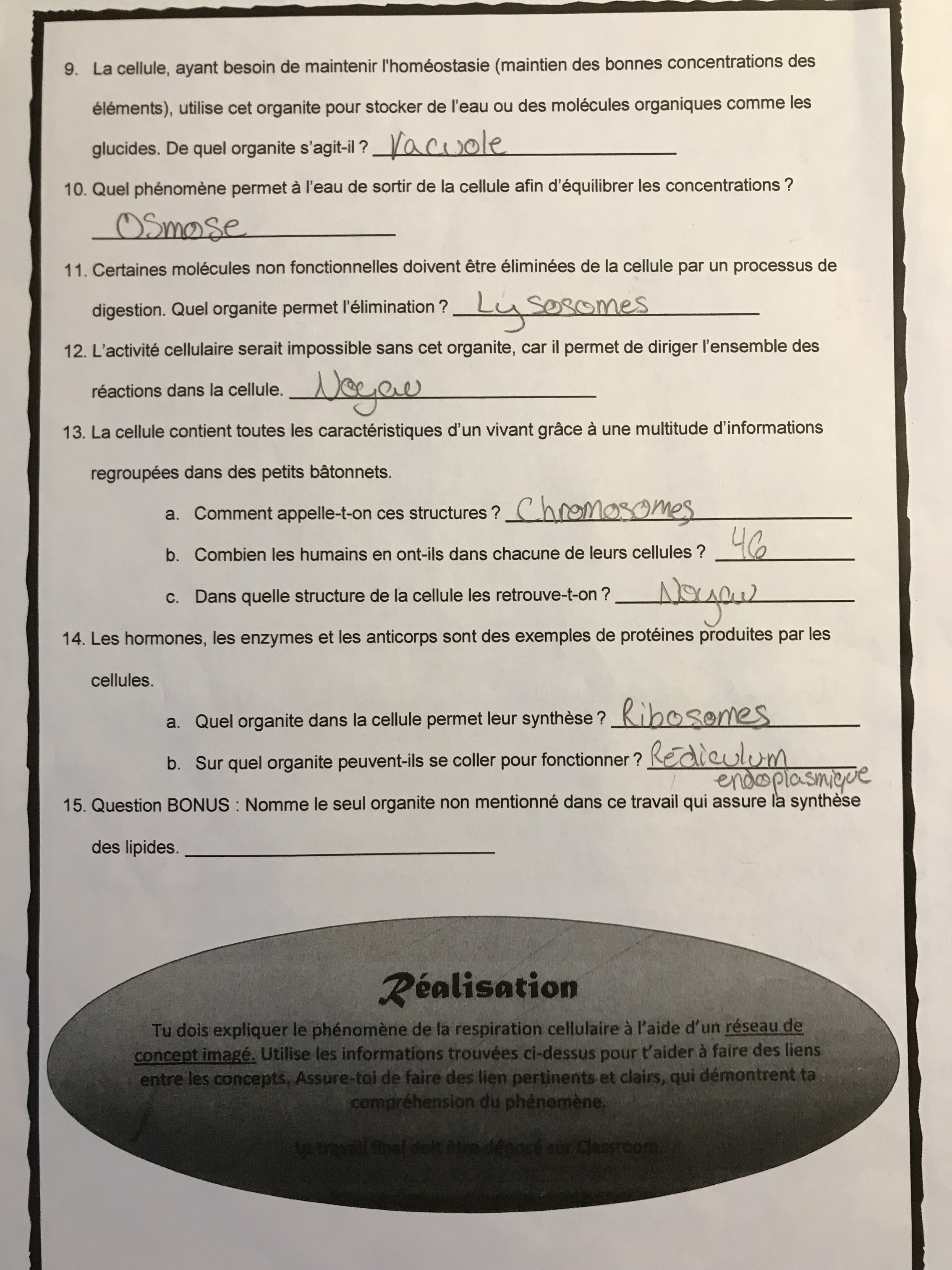 IMG_5912 (1).jpg