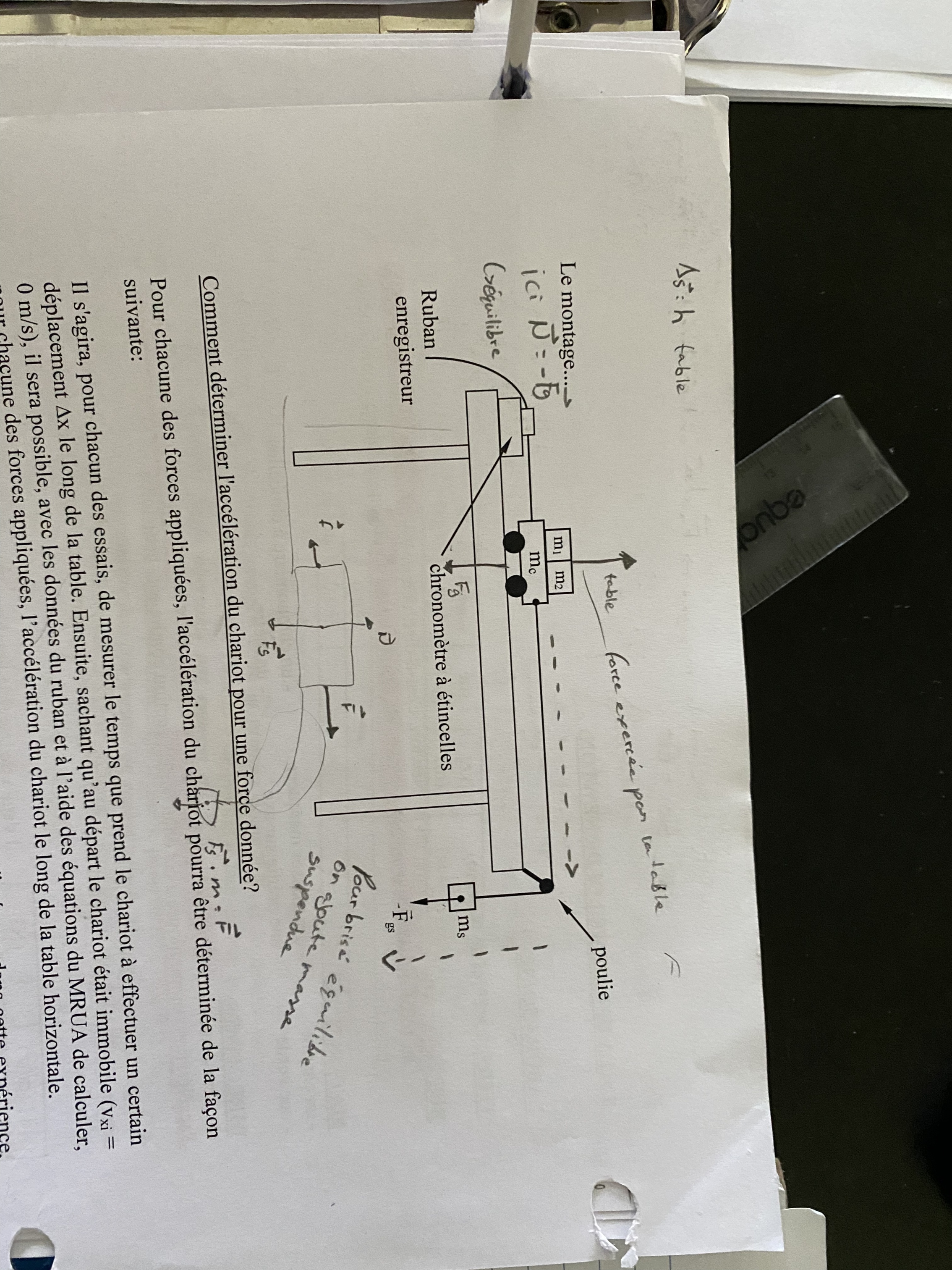 file1.jpg