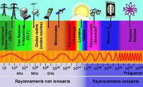 téléchargement.jpg
