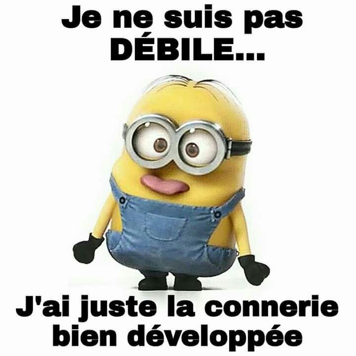 b93ea7e720a16c4bdb94bb92f1a2295e--mignon-humour.jpg