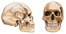 Résultats de recherche d'images pour «&nbsp;définition cro magnon&nbsp;»