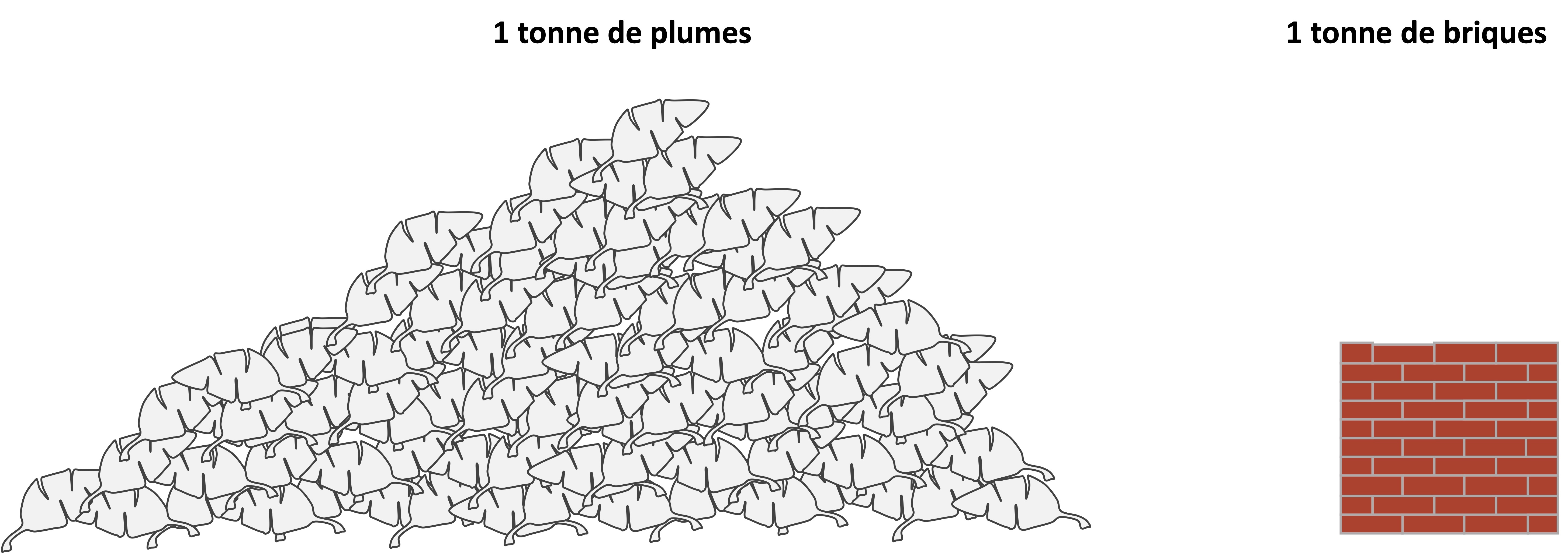 plumes et brique.jpg