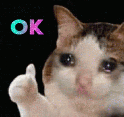 CrycatCryingCatGIF.gif