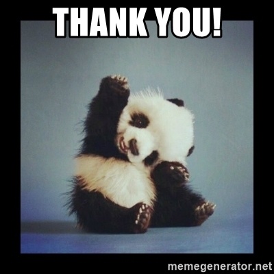panda 2.jpg