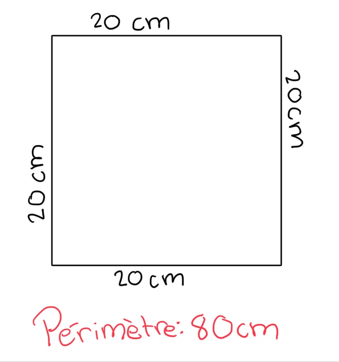 51AE2872-53CD-4BB0-996A-0547CEE75785.jpeg