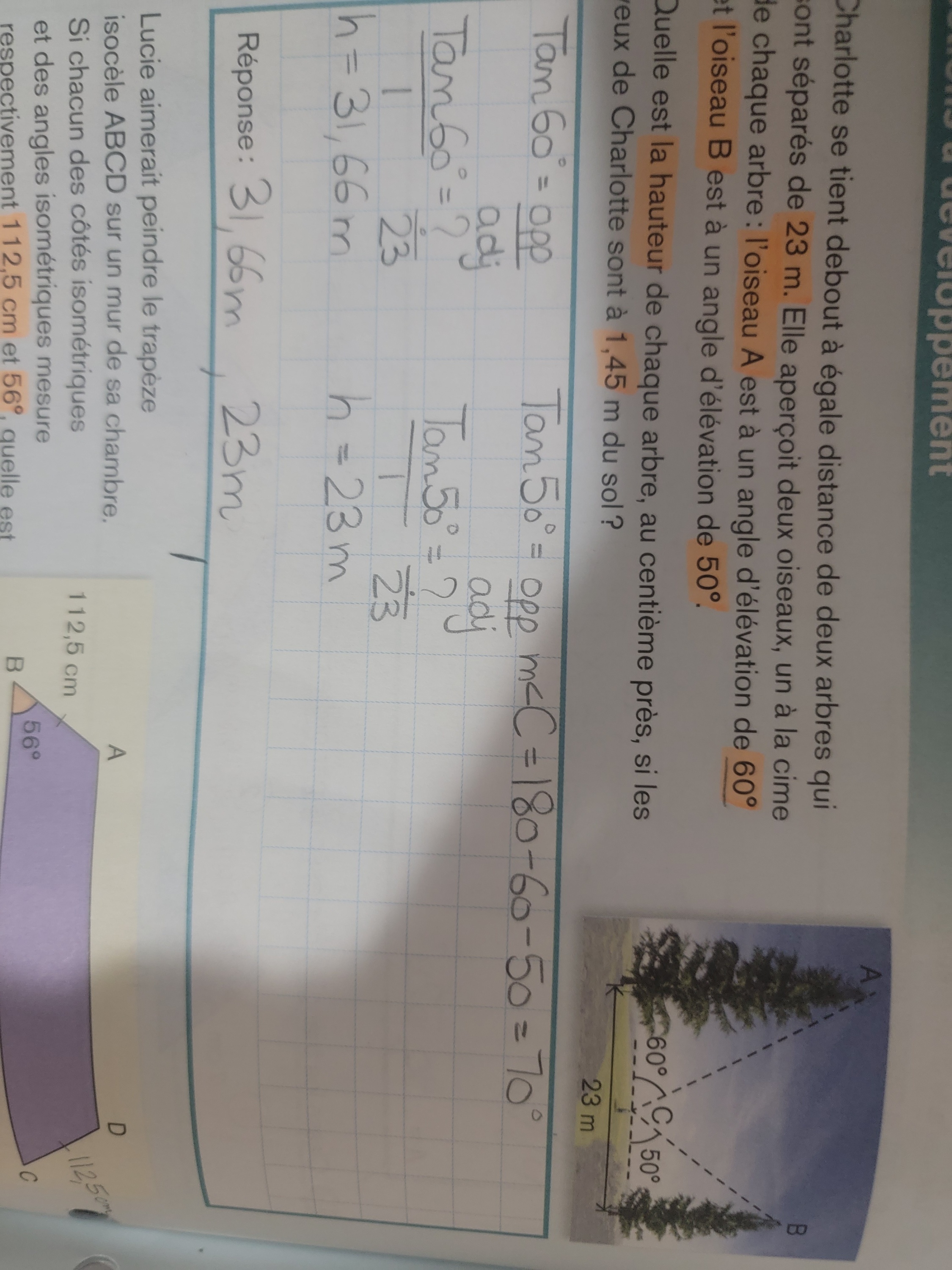 1711250571027109390654533279972.jpg