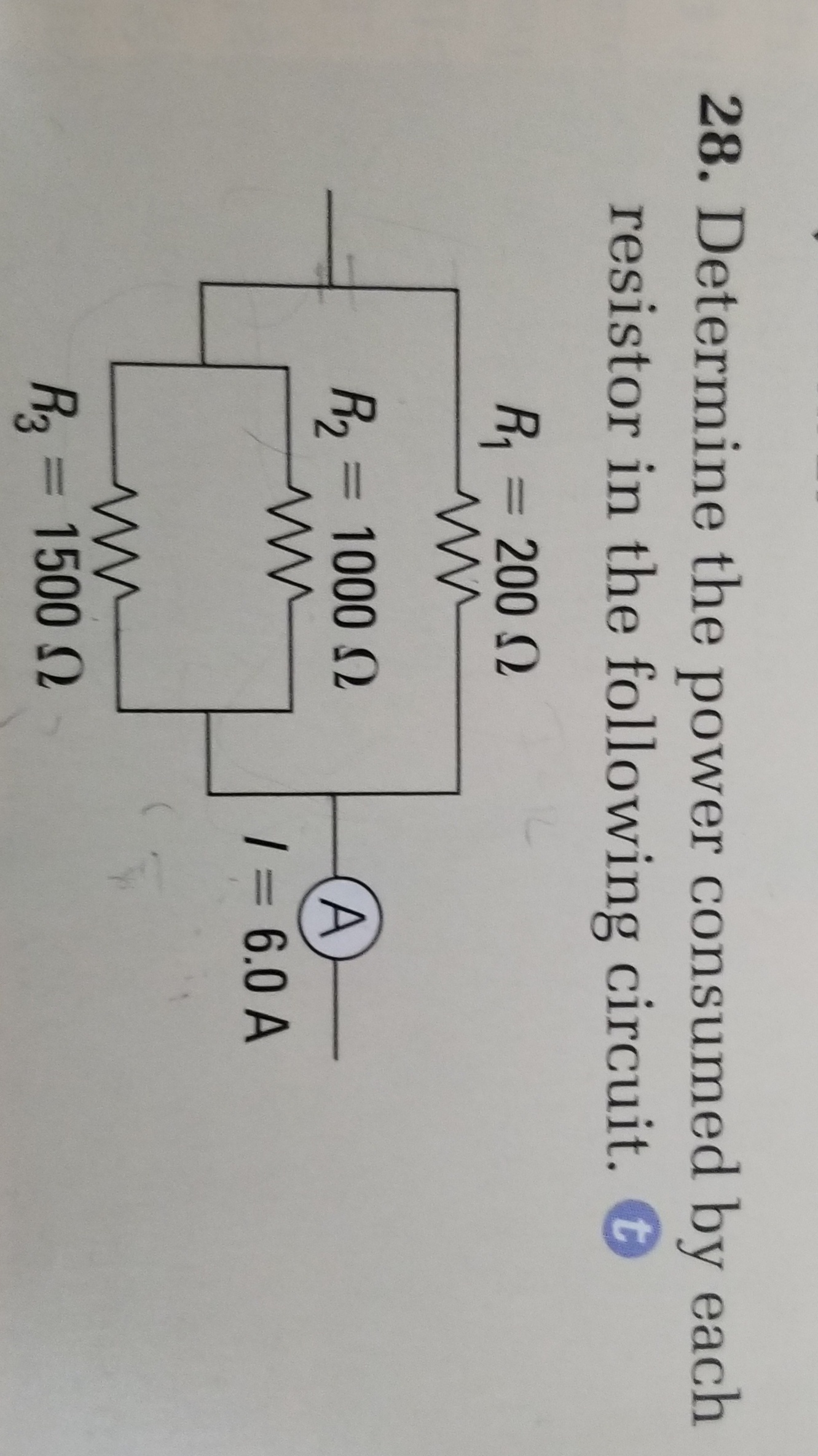 20231005_201935.jpg
