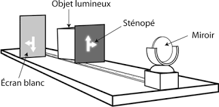 Image 1.png
