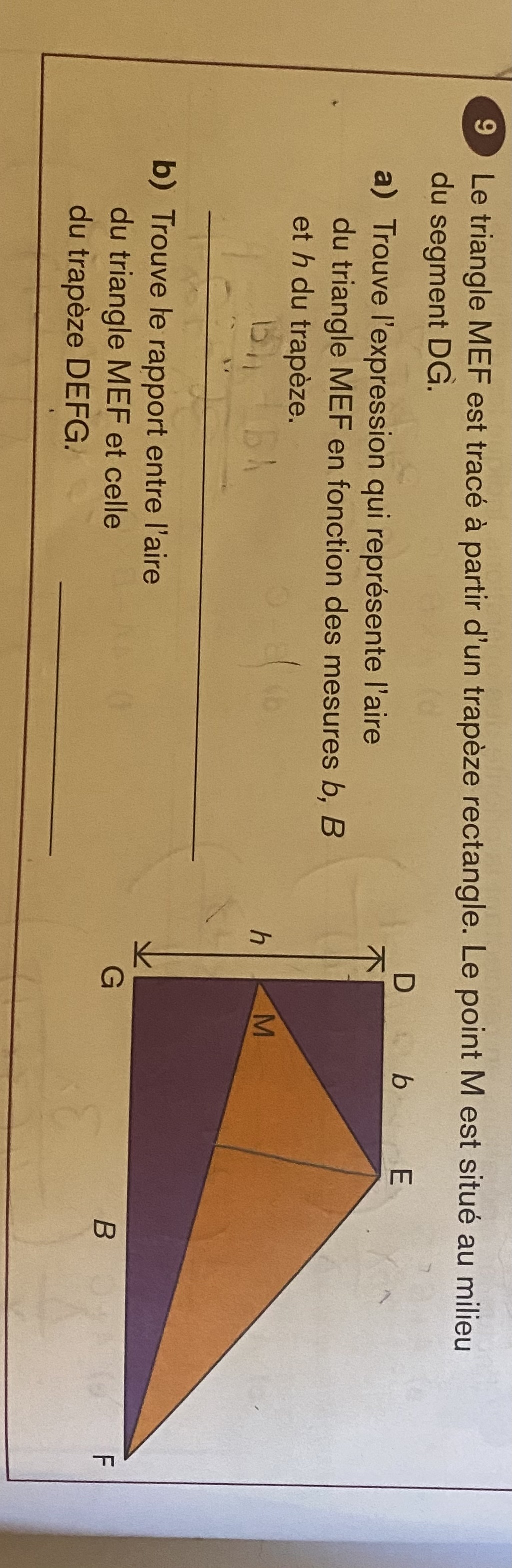 2E9C3415-80CF-4B76-A019-C35BCBDAB053.jpeg