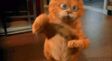 anigif_sub-buzz-446-1563899009-1.gif